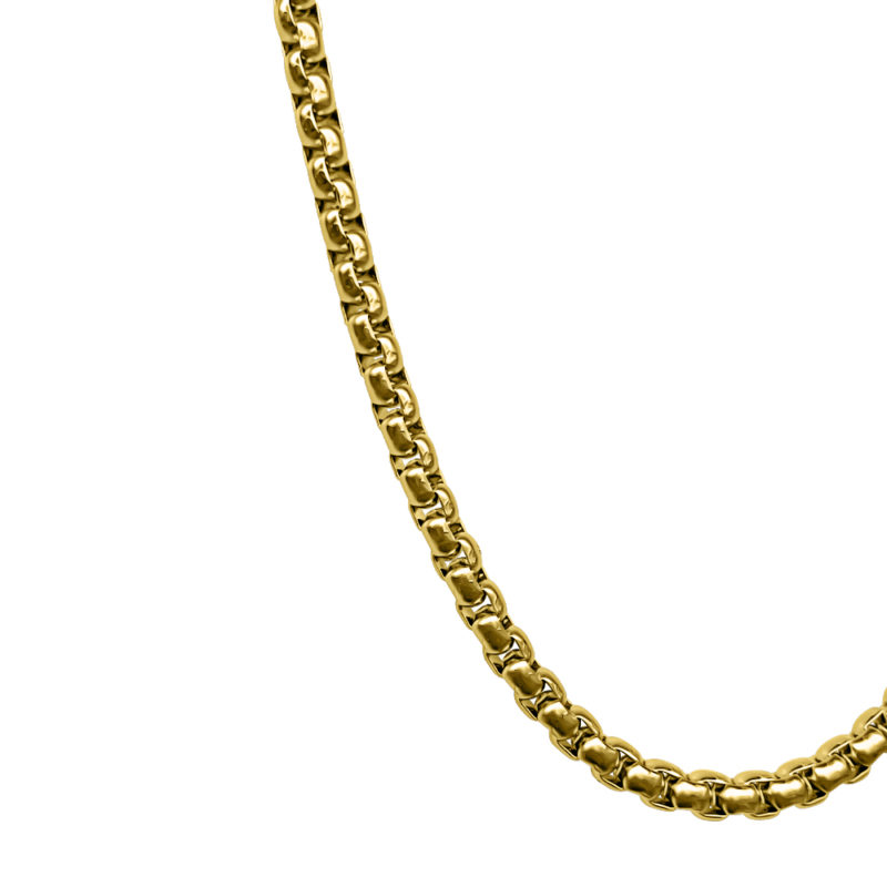 Gold Rolo Chain Necklace