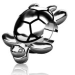Turtle Charm | Sterling Silver